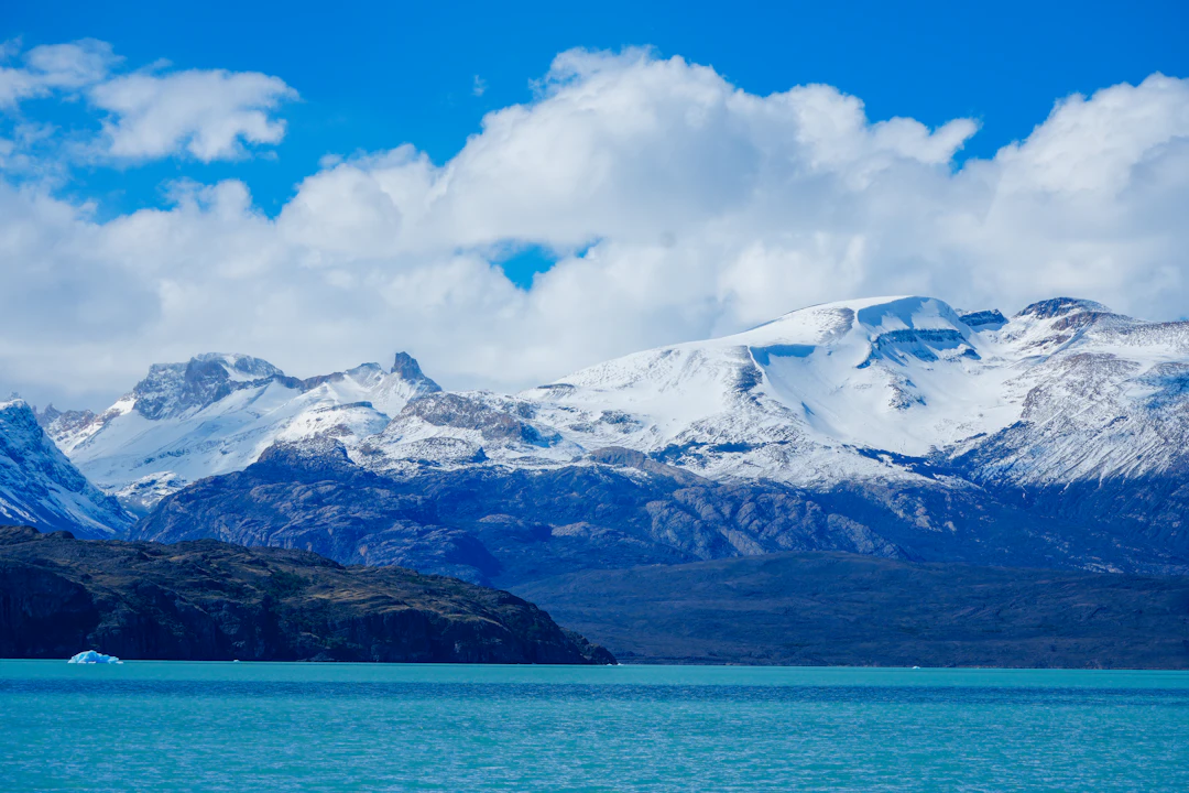 Sérum Patagonia - vista 5 de 5 - Frasco de Serum Patagonia Herbevie