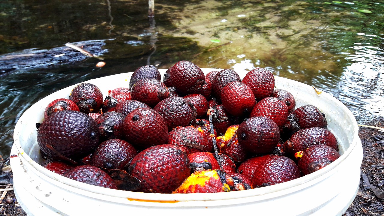 Buriti Amazonia - Frasco de Buriti Amazonia Herbevie