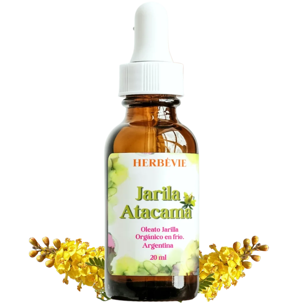 Jarila Atacama herbevie Aceite de Jarilla ecológico
