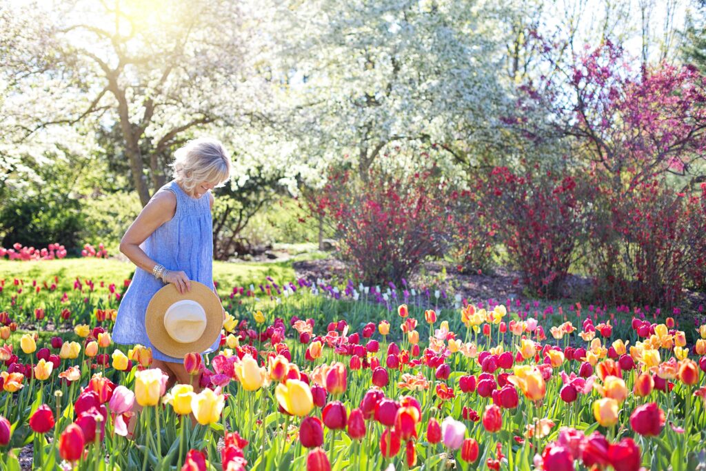 pexels-photo-413735-413735 Una mujer con vestido azul admira tulipanes de colores en un soleado jardín primaveral.