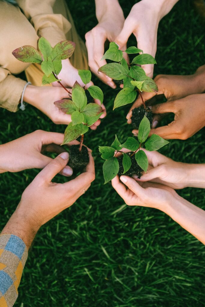 Sustentabilidade Herbevie Grupo de diversas pessoas plantando arvore um time da Herbevie